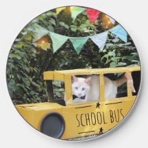 Schattigee Cat School buschauffeur