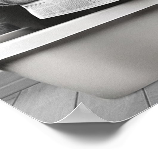 Schattigee Cat Wall Art, zwart-wit kleine badkamer Poster (Hoek)