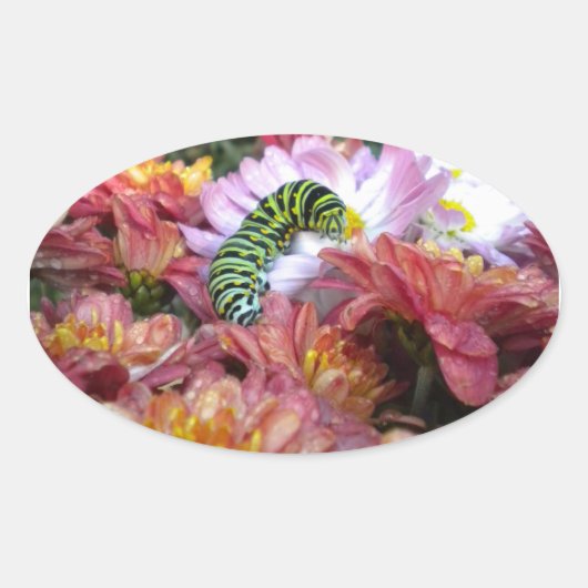 Schattigee Caterpillar Stickers (Voorkant)