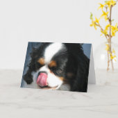 Schattigee Cavalier Spanial Dog Wenskaart Kaart (Gele Bloem)
