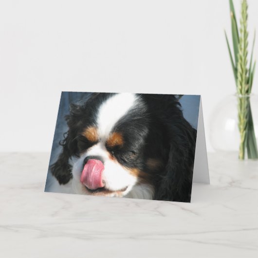 Schattigee Cavalier Spanial Dog Wenskaart Kaart (Voorkant)