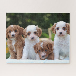 Schattigee Cavapoo Puppy Dogs Legpuzzel