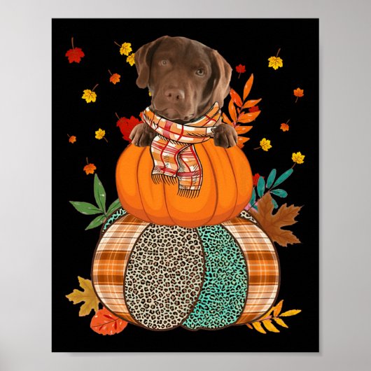Schattigee Chesapeake Bay Retriever Pumpkinthanksg Poster (Voorkant)