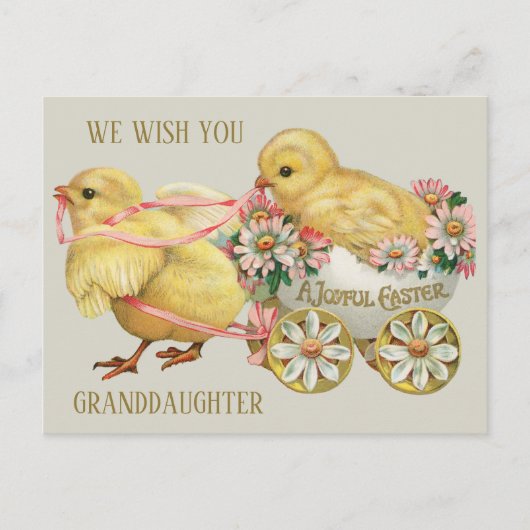 Schattigee Chick Girl kleindochter Pasen Feestdagenkaart (Voorkant)