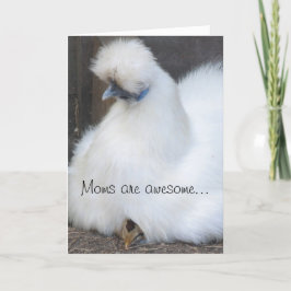 Schattigee chick / kippen Moederdag kaart
