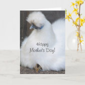 Schattigee chick / kippen Moederdag kaart (Gele Bloem)