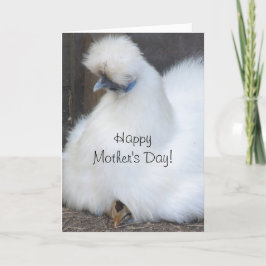 Schattigee chick / kippen Moederdag kaart