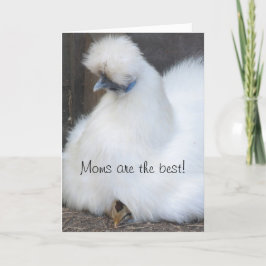 Schattigee chick "Moms zijn de beste" Moederdag-ka Kaart