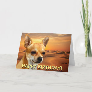 Schattigee chihuahua aanpasbare wenskaart kaart