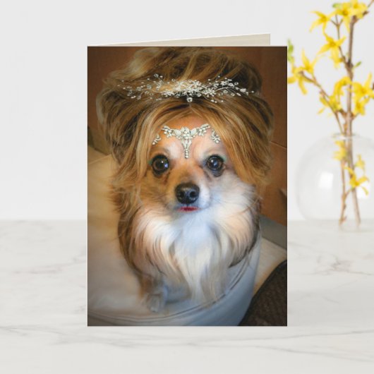 Schattigee Chihuahua dragen van een pruik Verjaard Kaart (Gele Bloem)