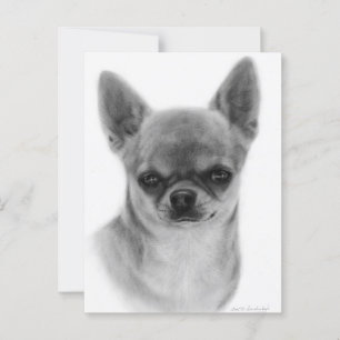 Schattigee Chihuahua Head Study Hand geschilderd k Briefkaart