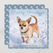 Schattigee Chihuahua Hond In Sneeuw  Sneeuwvlokken Feestdagenkaart (Voorkant / Achterkant)