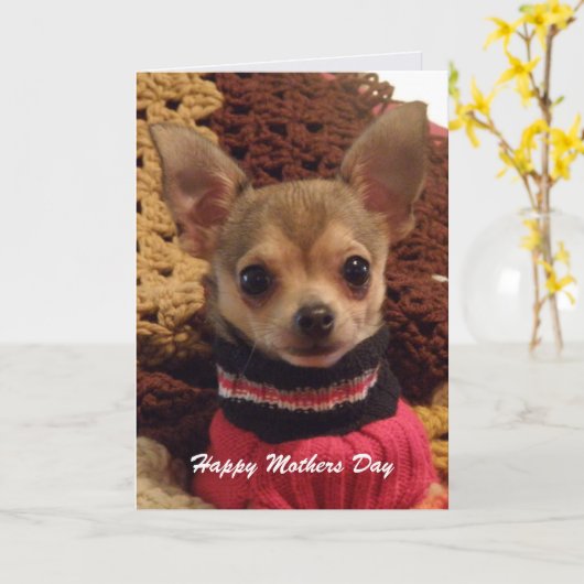 Schattigee Chihuahua: Moederdag Kaart (Gele Bloem)