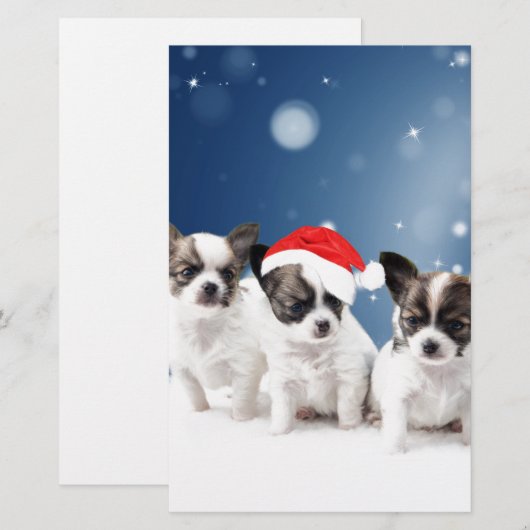 Schattigee Chihuahua Puppies met Santa Hat Christm Briefpapier (Voorkant / Achterkant)