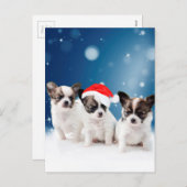 Schattigee Chihuahua Puppies met Santa Hat Christm Feestdagenkaart (Voorkant / Achterkant)