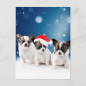Schattigee Chihuahua Puppies met Santa Hat Christm Feestdagenkaart (Voorkant)