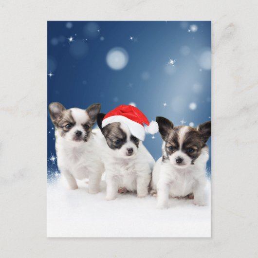 Schattigee Chihuahua Puppies met Santa Hat Christm Feestdagenkaart (Voorkant)