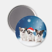 Schattigee Chihuahua Puppies met Santa Hat Christm Magneet (Voorkant / Achterkant)