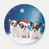 Schattigee Chihuahua Puppies met Santa Hat Christm Magneet (Voorkant)