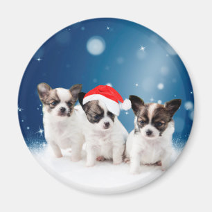 Schattigee Chihuahua Puppies met Santa Hat Christm Magneet