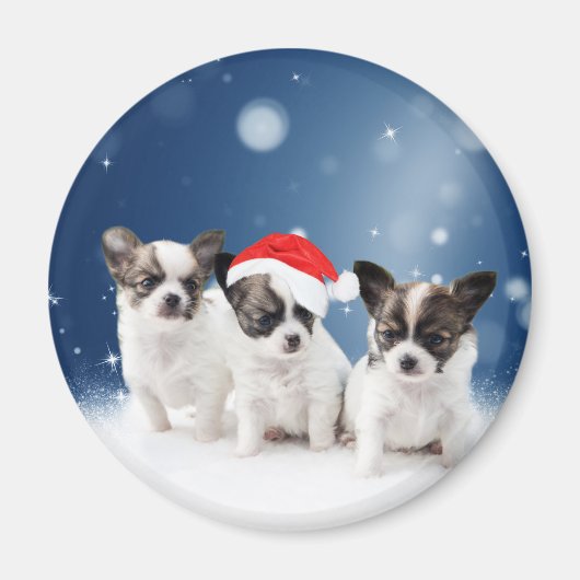 Schattigee Chihuahua Puppies met Santa Hat Christm Magneet (Voorkant)