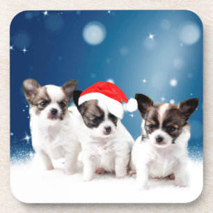 Schattigee Chihuahua Puppies met Santa Hat Christm Onderzetter