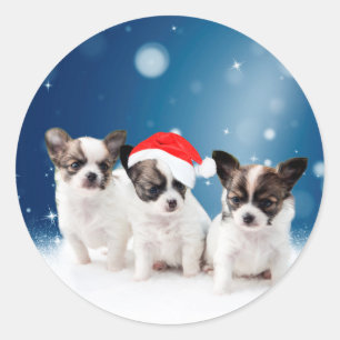 Schattigee Chihuahua Puppies met Santa Hat Christm Ronde Sticker