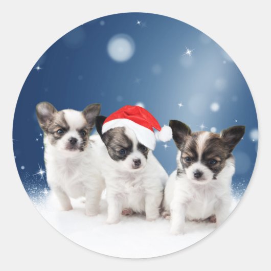 Schattigee Chihuahua Puppies met Santa Hat Christm Ronde Sticker (Voorkant)