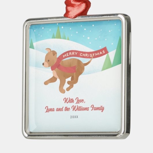 Schattigee Chihuahua Retriever Dog Snow Christmas Metalen Ornament (Links)