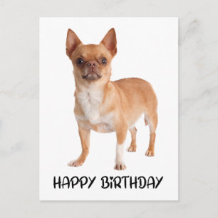 Schattigee Chihuahua Verjaardagspuppy Dog Briefkaart