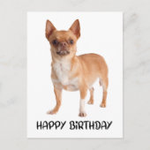 Schattigee Chihuahua Verjaardagspuppy Dog Briefkaart (Voorkant)