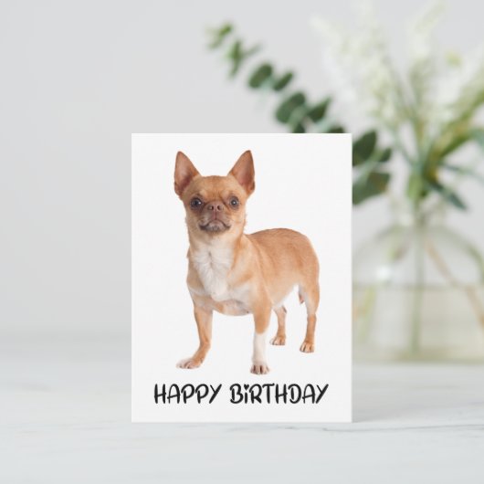 Schattigee Chihuahua Verjaardagspuppy Dog Briefkaart (Staand voorkant)