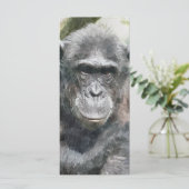 SCHATTIGEE CHIMPANSEE KAART (Staand voorkant)
