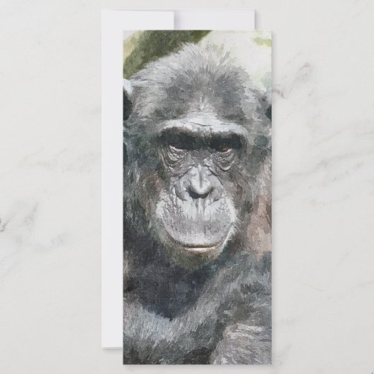 SCHATTIGEE CHIMPANSEE KAART (Voorkant)