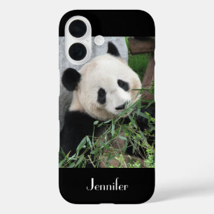 Schattigee Chinese Giant Panda Black Trim, aangepa iPhone 16 Hoesje