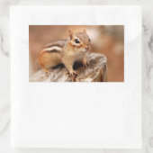 Schattigee Chipmunk Wachten Rechthoekige Sticker (Tas)