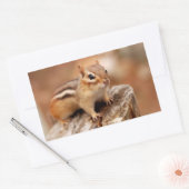 Schattigee Chipmunk Wachten Rechthoekige Sticker (Envelop)