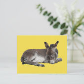 Schattigee chocolade ezel baby veulen slapen op ge briefkaart (Staand voorkant)