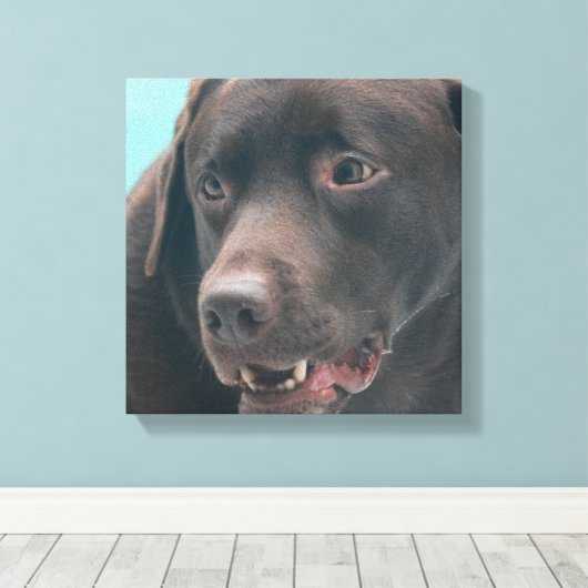Schattigee Chocolade Lab Canvas Print (Insitu (Houten vloer))