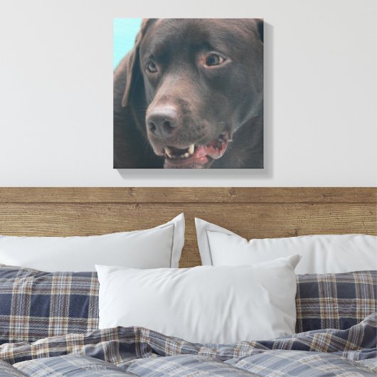 Schattigee Chocolade Lab Canvas Print (Insitu (Slaapkamer))