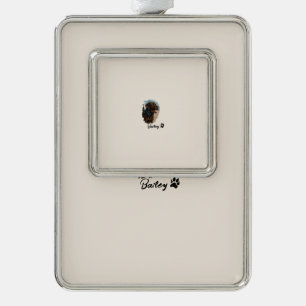 Schattigee Chocolade Labrador Hond – Bailey   Kado Verzilverd Omlijst Ornament