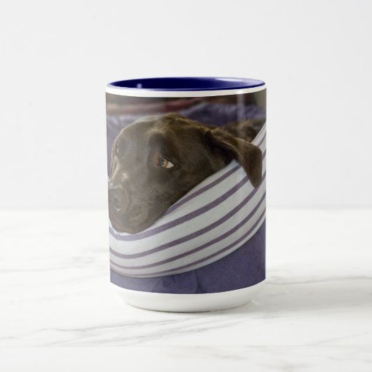 Schattigee Chocolade Labrador Retriever op Paarse  Mok (Midden)