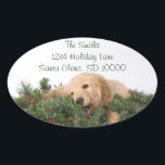 Schattigee Christmas Dog Adresetiketten Ovale Sticker<br><div class="desc">Schattigee kerst adresetiketten voor dierenliefhebbers. Bijpassende kerstkaarten en porto.</div>