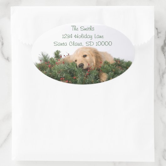 Schattigee Christmas Dog Adresetiketten Ovale Sticker (Tas)