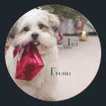 Schattigee Christmas Dog Gift Labels<br><div class="desc">Kerstzegels voor uw vakantiegiften. Christmas Gift tags nooit kreeg deze schattige! Wat een lieve puppy om ze te vertellen van wie het geschenk is!</div>