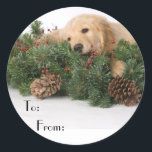 Schattigee Christmas Dog Gift Labels<br><div class="desc">Kerstzegels voor uw vakantiegiften. Christmas Gift tags nooit kreeg deze schattige! Wat een lieve puppy om ze te vertellen van wie het geschenk is!</div>