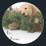 Schattigee Christmas Dog Gift Labels<br><div class="desc">Kerstzegels voor uw vakantiegiften. Christmas Gift tags nooit kreeg deze schattige! Wat een lieve puppy om ze te vertellen van wie het geschenk is!</div>