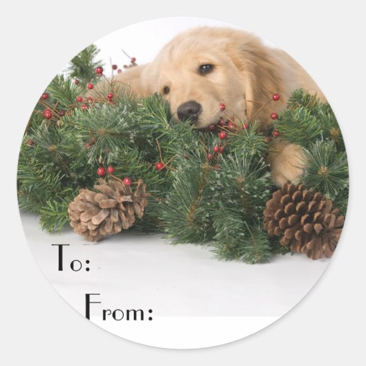 Schattigee Christmas Dog Gift Labels (Voorkant)