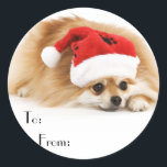 Schattigee Christmas Dog Gift Stickers<br><div class="desc">Kerstzegels voor uw vakantiegiften. Christmas Gift tags nooit kreeg deze schattige! Wat een lieve puppy om ze te vertellen van wie het cadeau is! com</div>