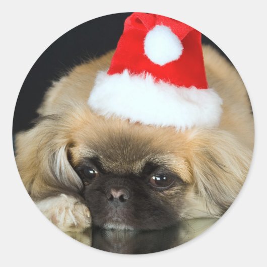 Schattigee Christmas Dog Stickers (Voorkant)